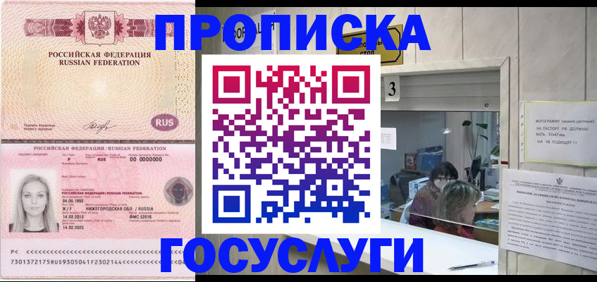 прописка паспорт в Жукове